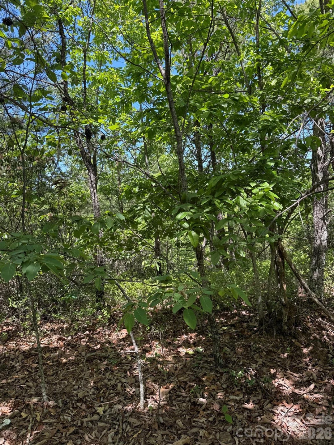 105 Scouts Trail #105 - Photo 15