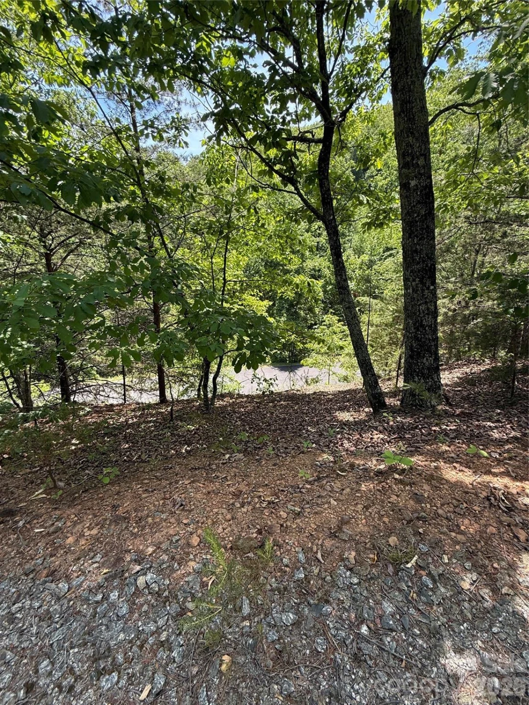 105 Scouts Trail #105 - Photo 16