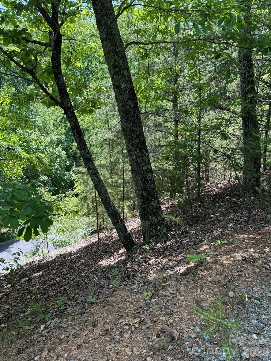 105 Scouts Trail #105 - Photo 10