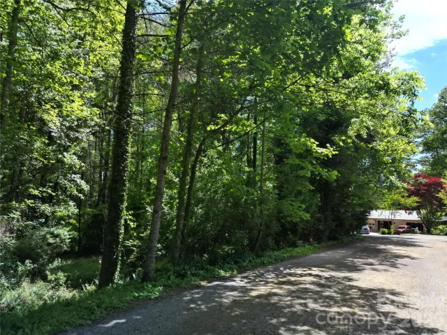 225 Country Lane, Brevard, NC, 28712