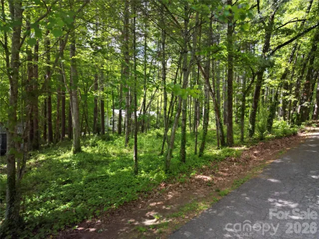 164 Country Lane