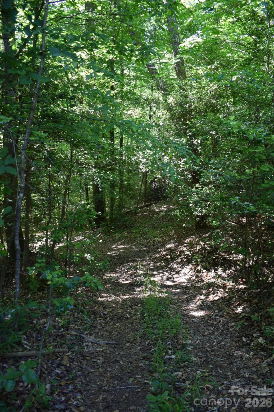 0 Floyd Blackwell Road - Photo 2