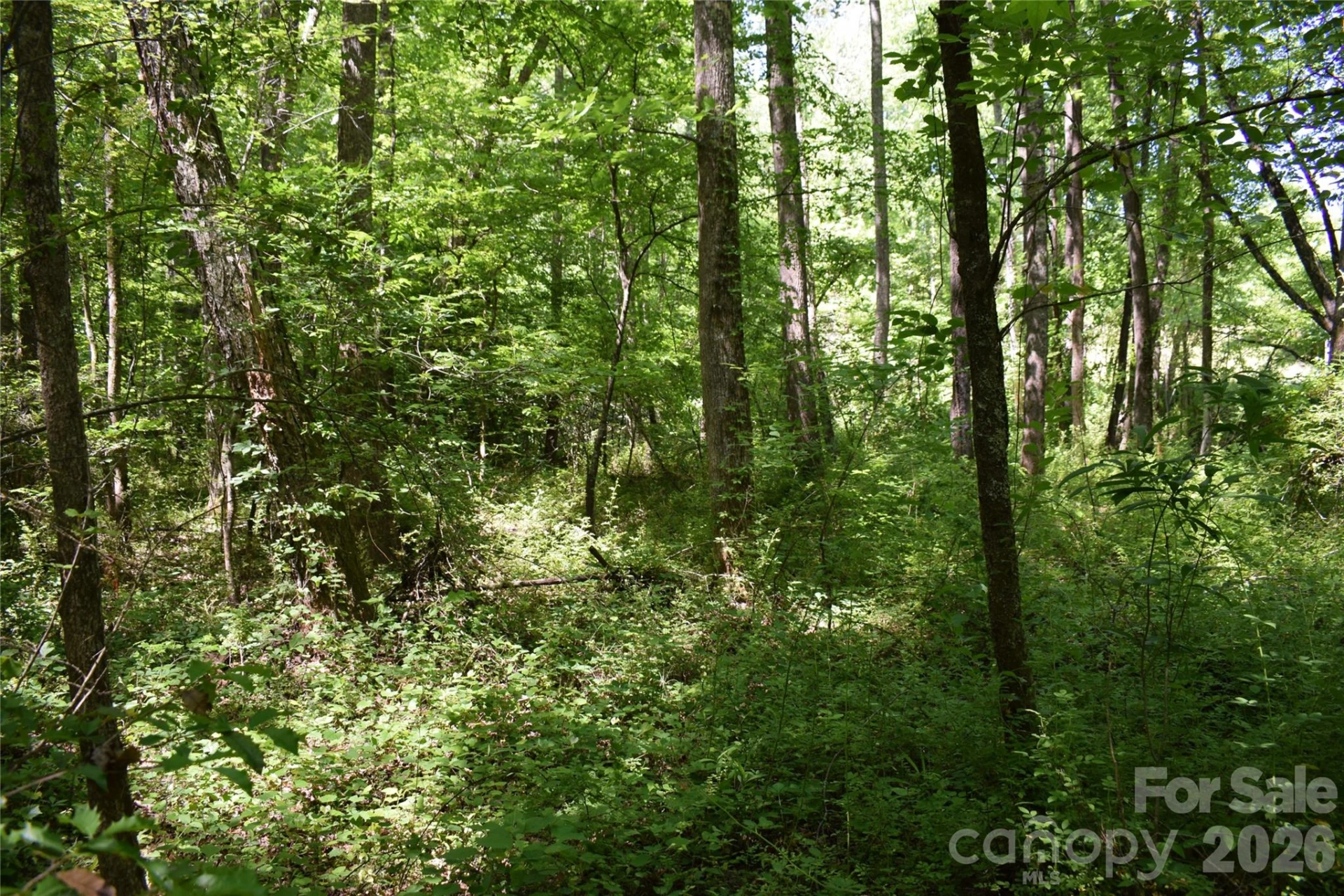 0 Floyd Blackwell Road - Photo 11