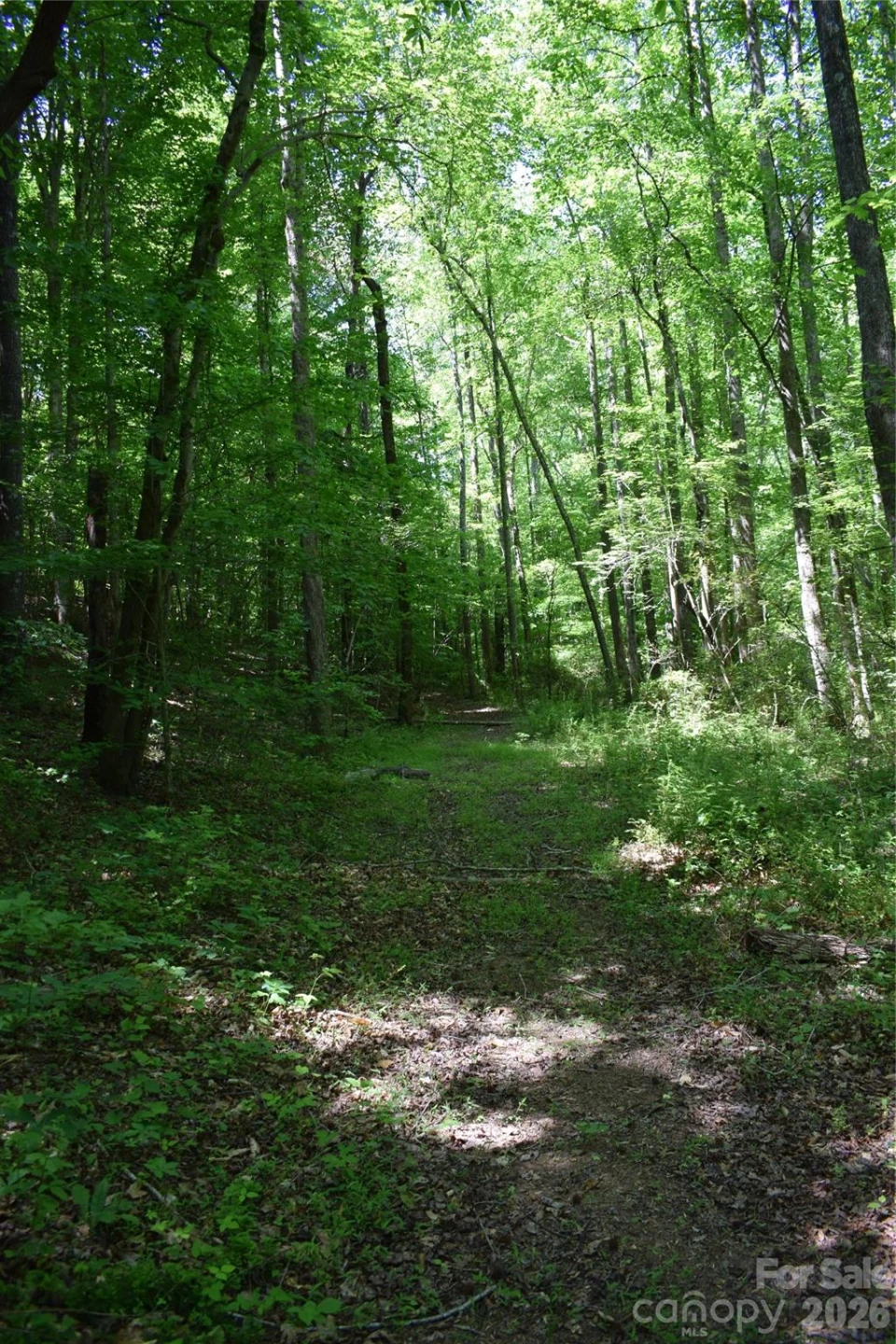 0 Floyd Blackwell Road - Photo 14