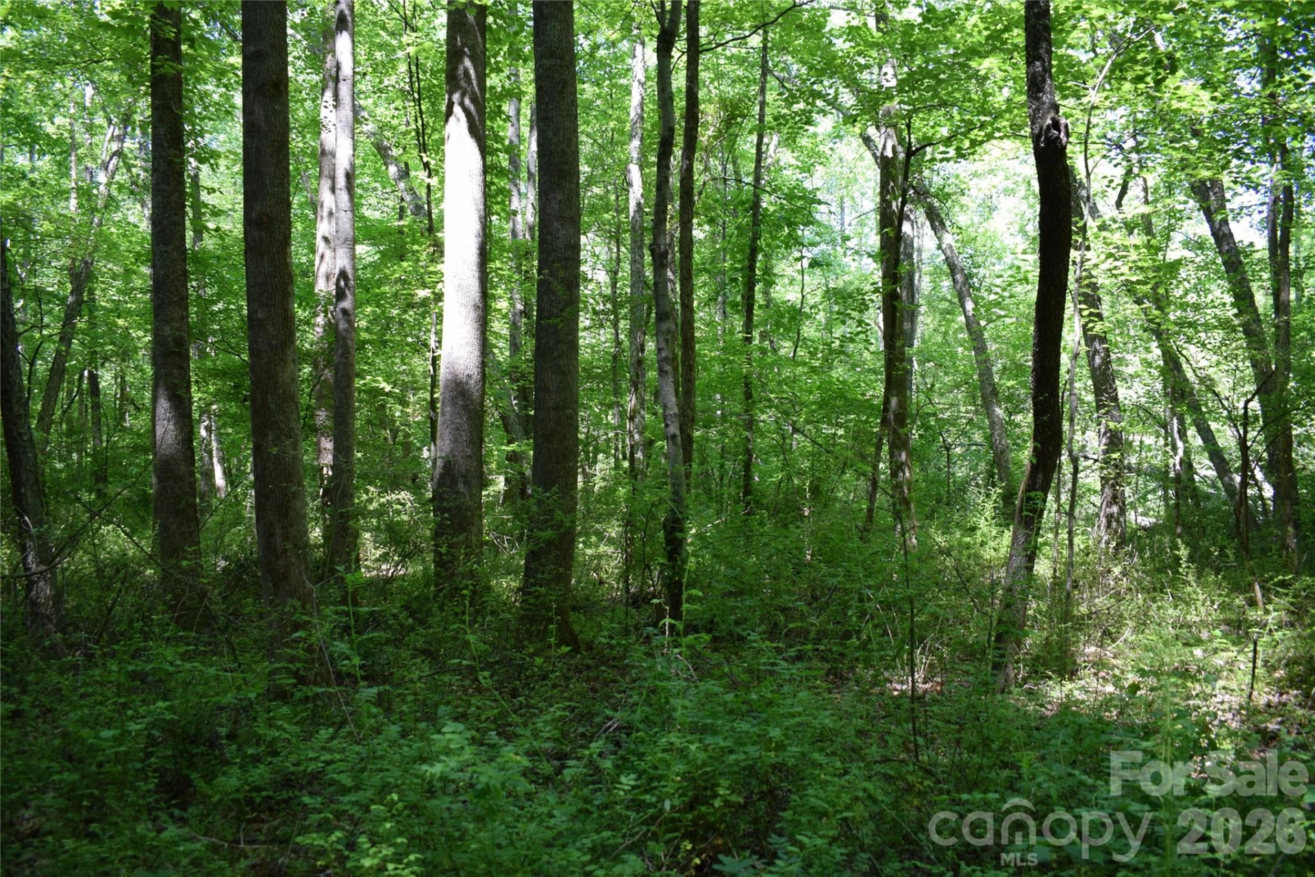 0 Floyd Blackwell Road - Photo 15