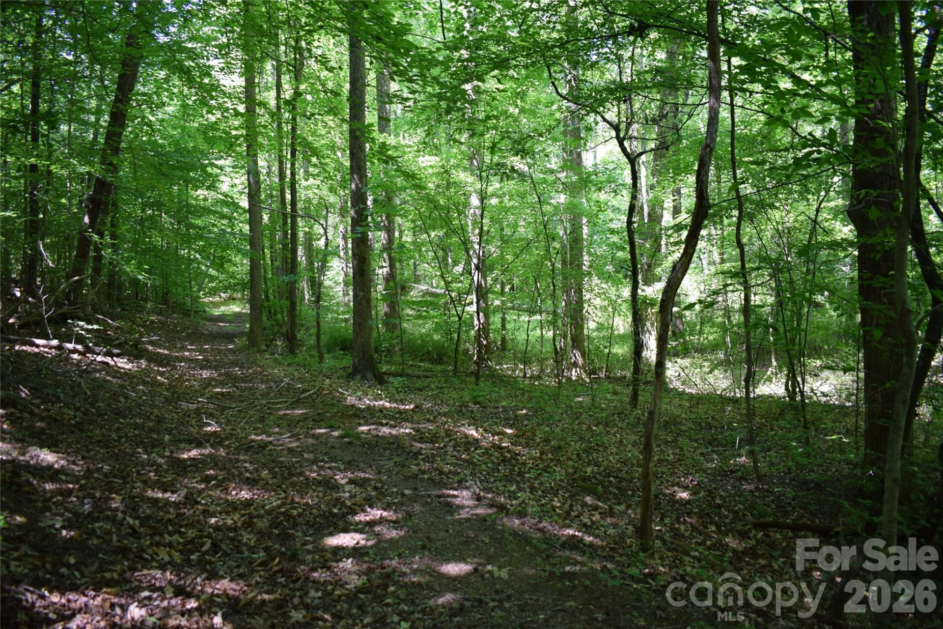 0 Floyd Blackwell Road - Photo 16