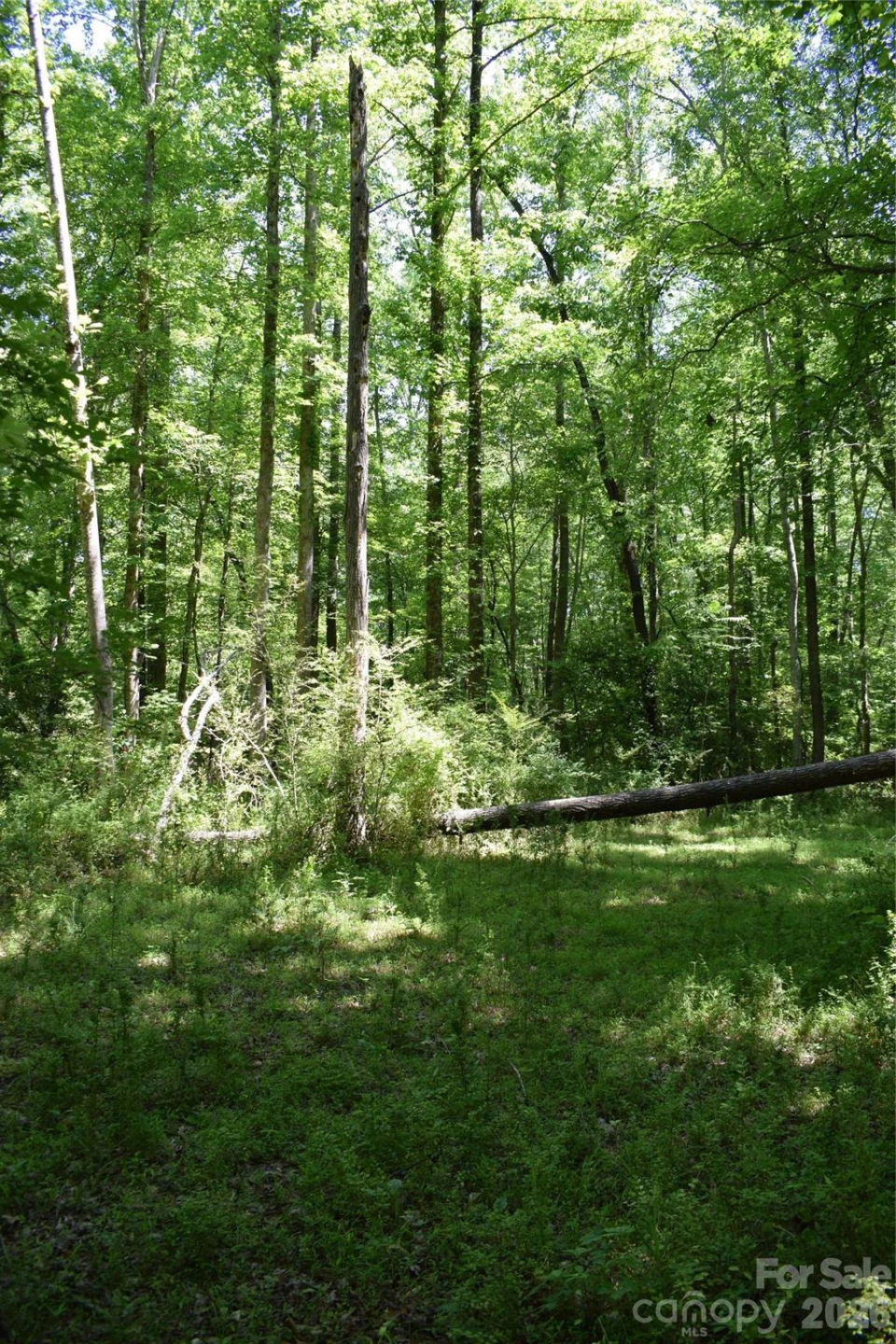 0 Floyd Blackwell Road - Photo 17