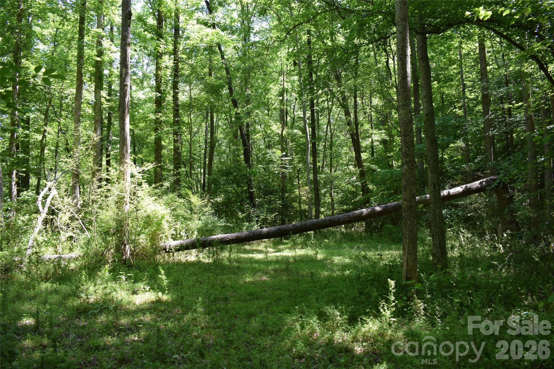 0 Floyd Blackwell Road - Photo 18