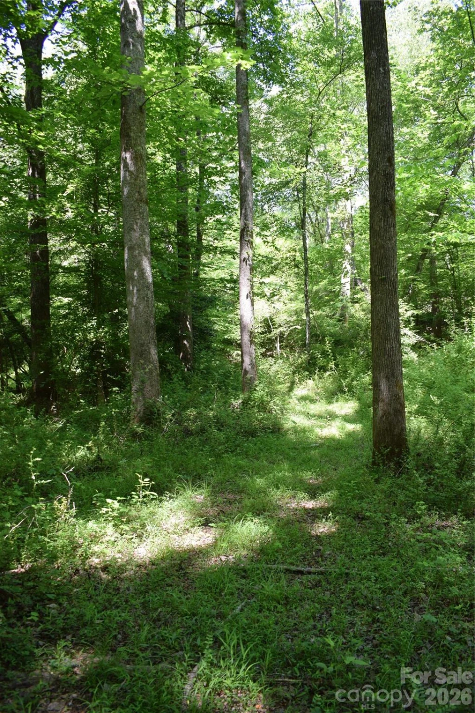 0 Floyd Blackwell Road - Photo 19