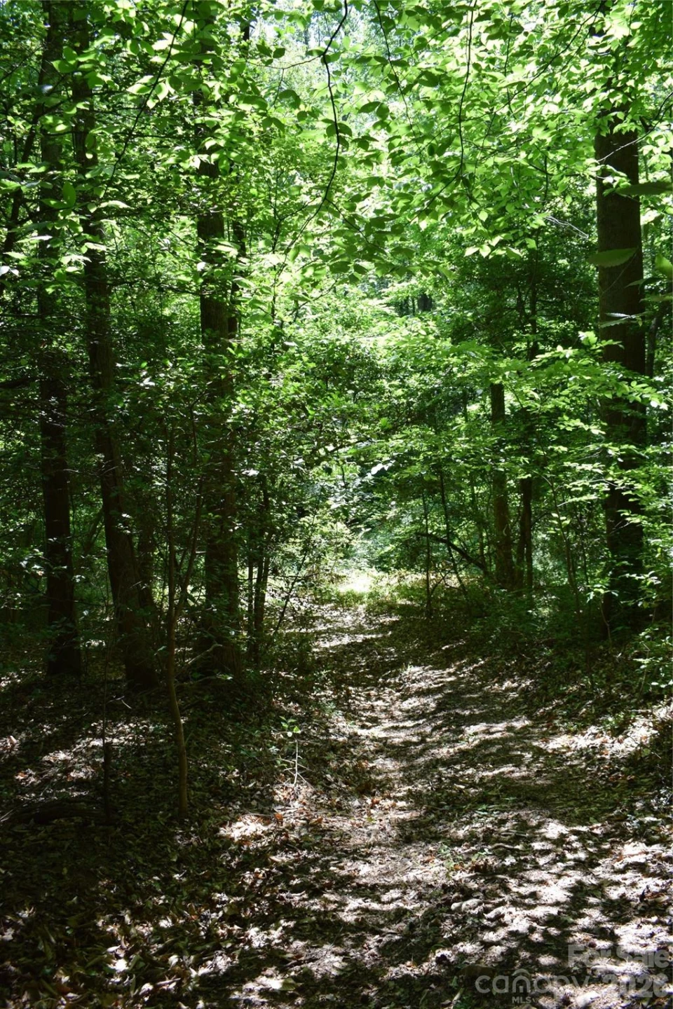 0 Floyd Blackwell Road - Photo 3