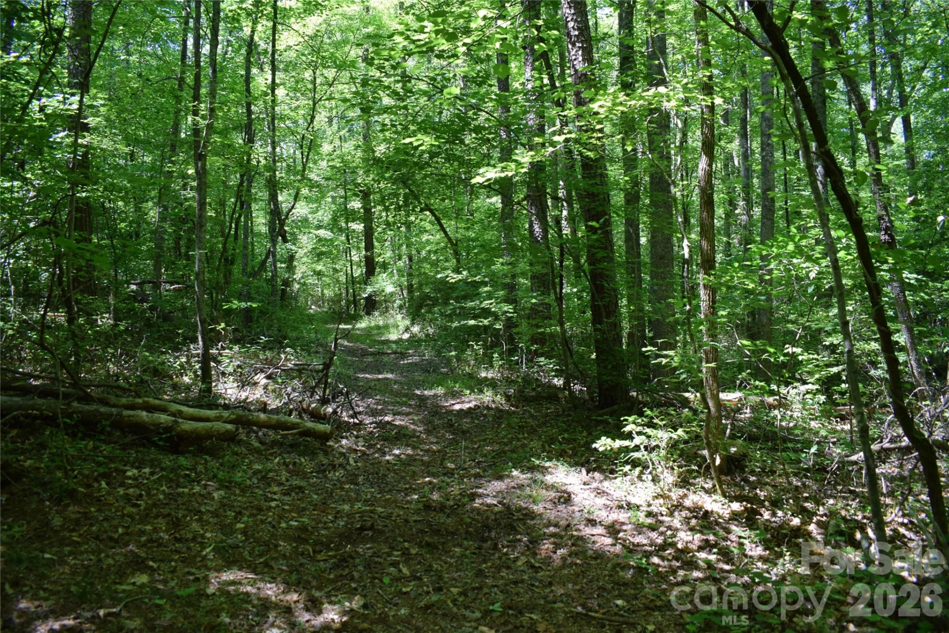 0 Floyd Blackwell Road - Photo 20