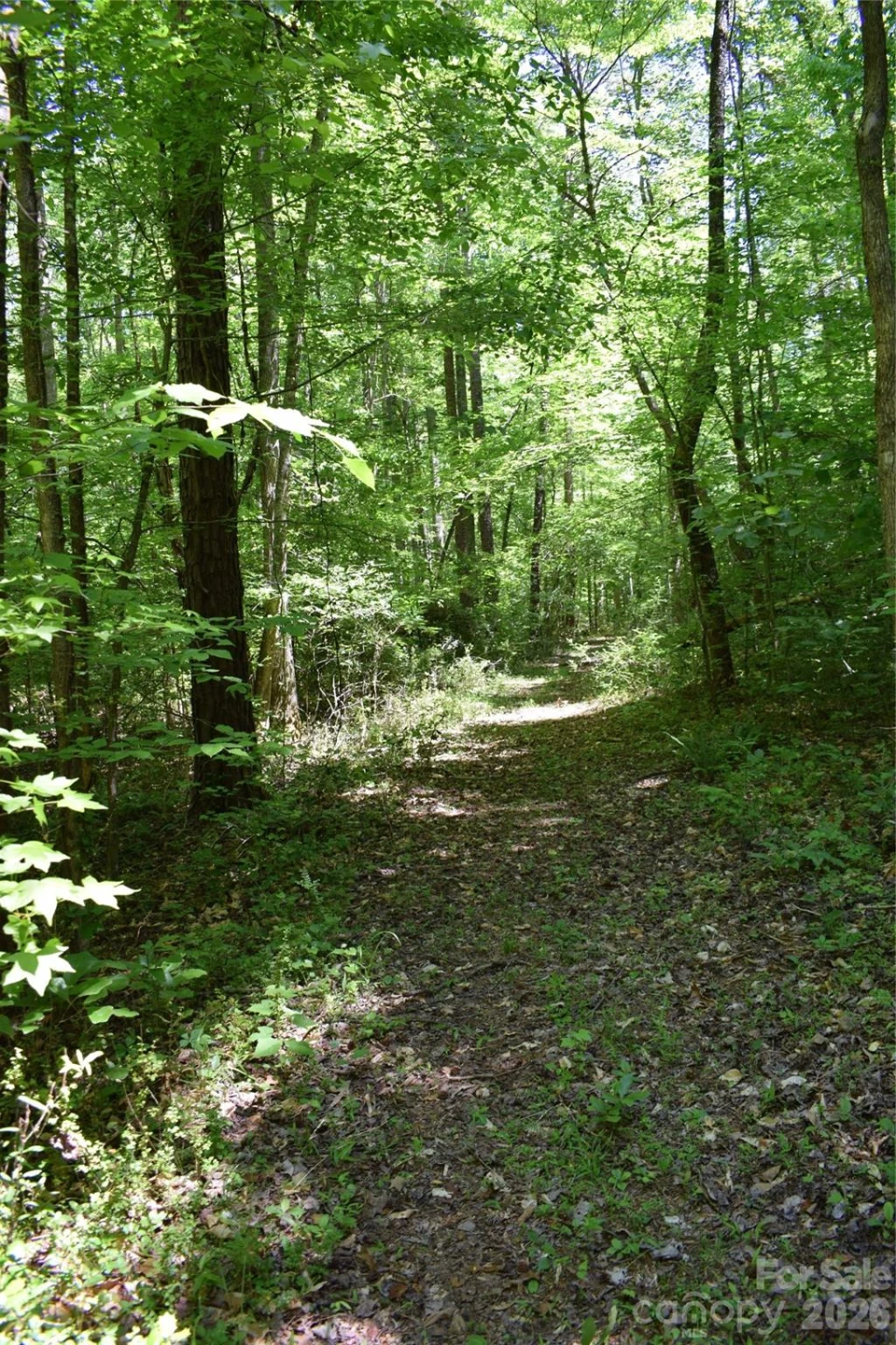 0 Floyd Blackwell Road - Photo 22