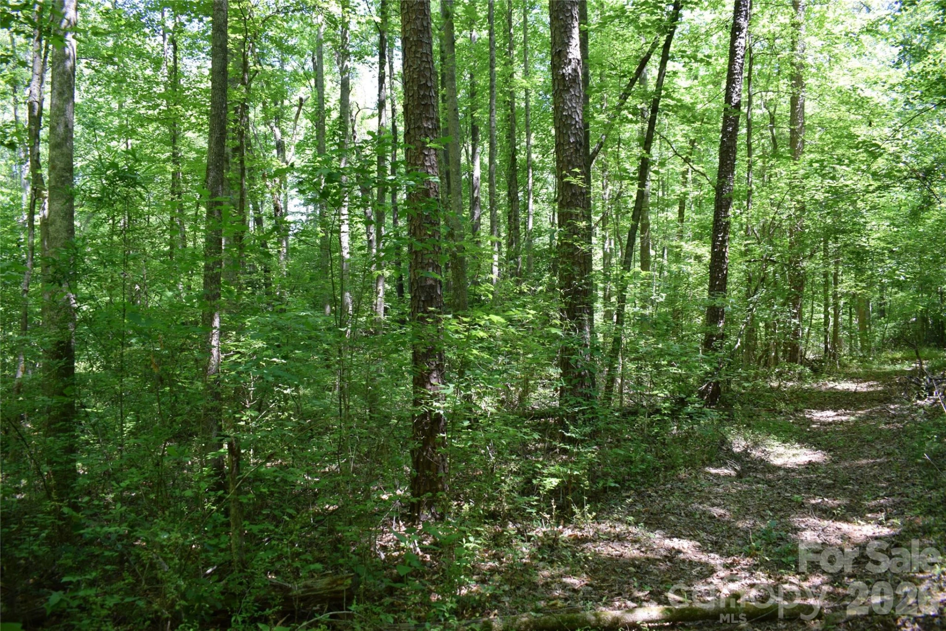 0 Floyd Blackwell Road - Photo 23