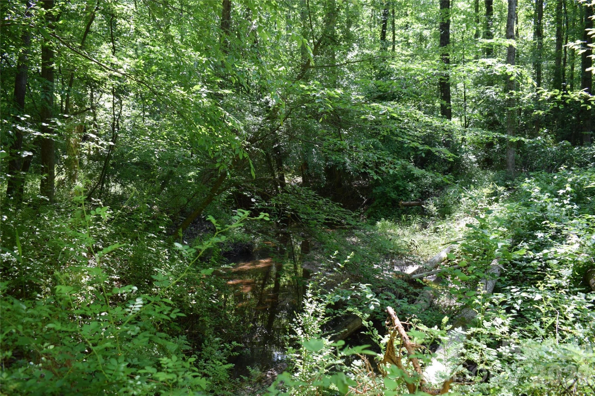 0 Floyd Blackwell Road - Photo 4