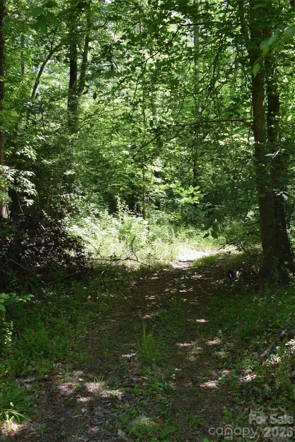 0 Floyd Blackwell Road - Photo 5