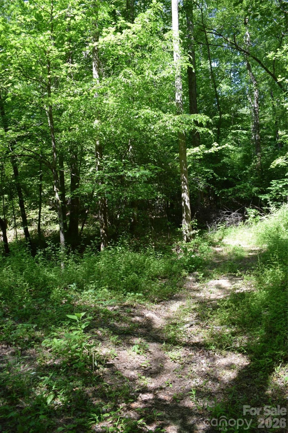 0 Floyd Blackwell Road - Photo 6