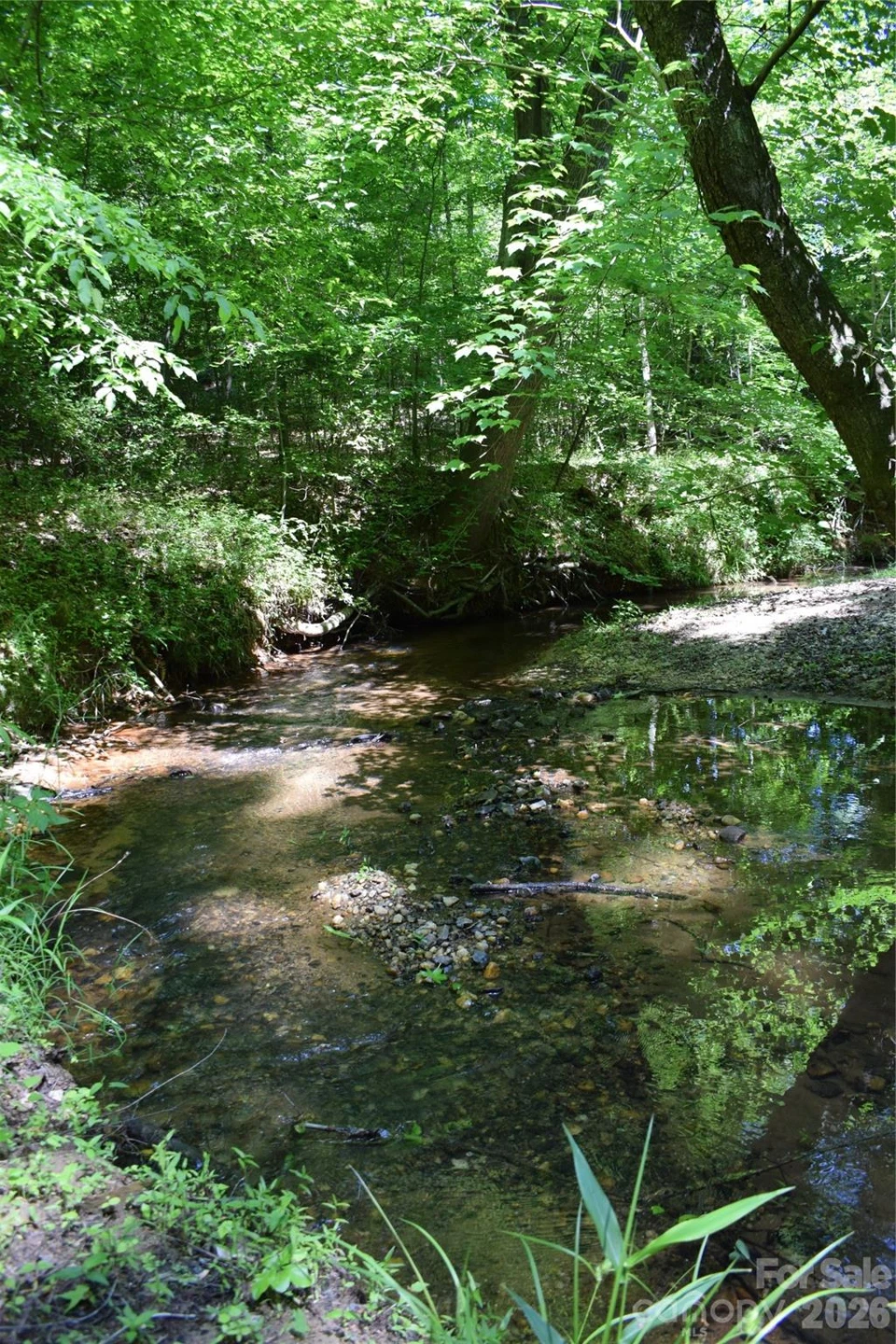 0 Floyd Blackwell Road - Photo 7