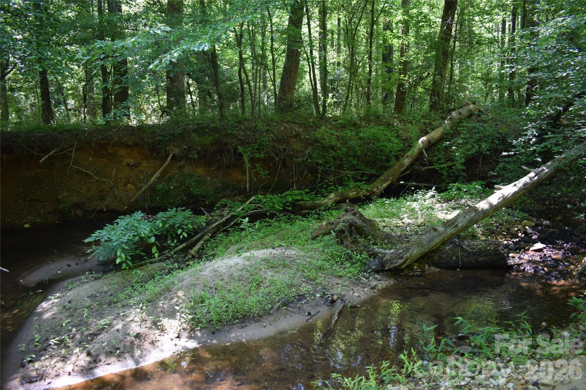 0 Floyd Blackwell Road - Photo 8