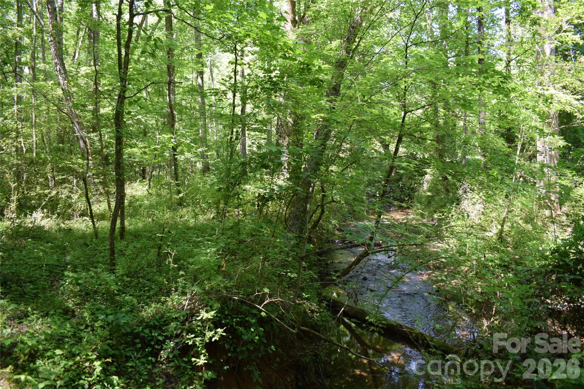 0 Floyd Blackwell Road - Photo 10