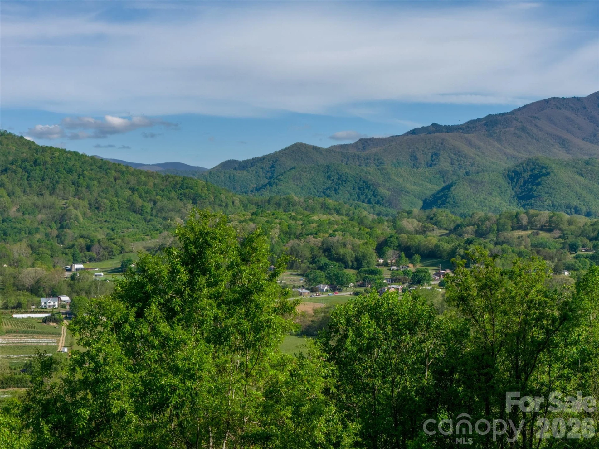 345 Moorehill Drive - Photo 40