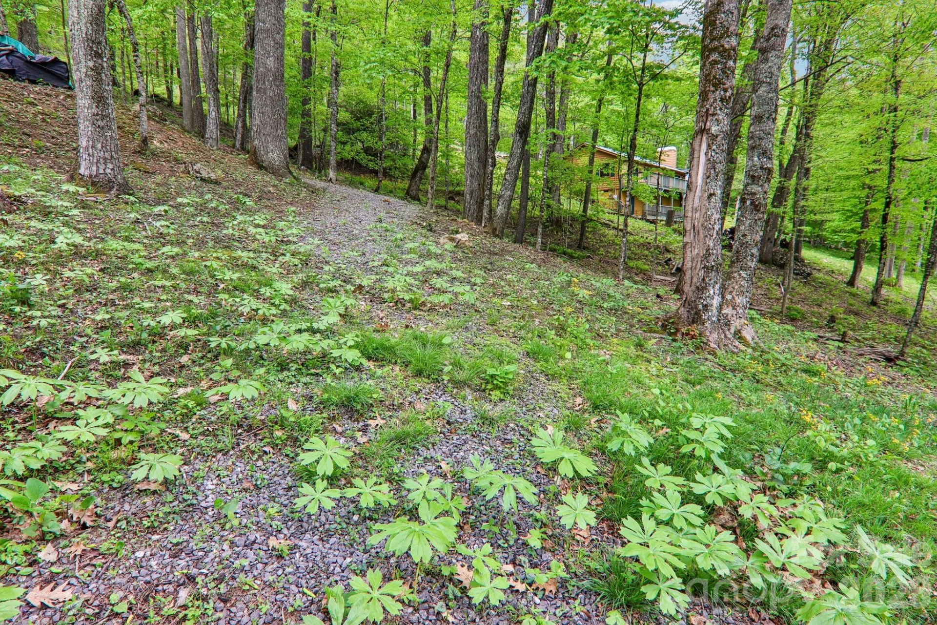 101 Oak Ridge Court - Photo 26