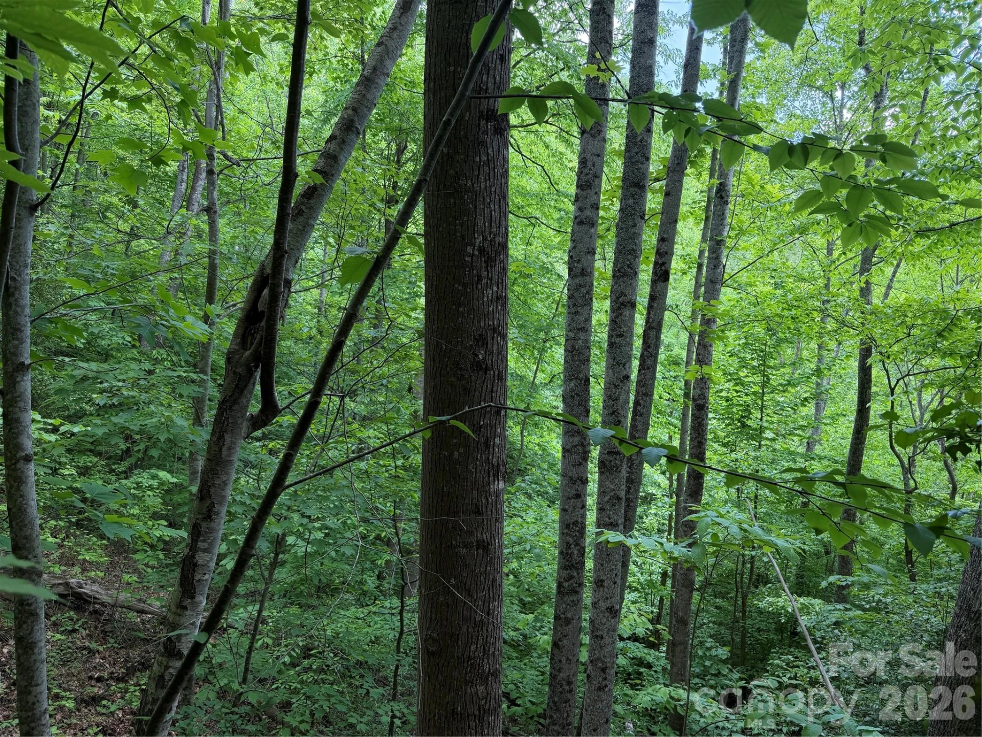 408 Arvil Gosnell Road - Photo 2