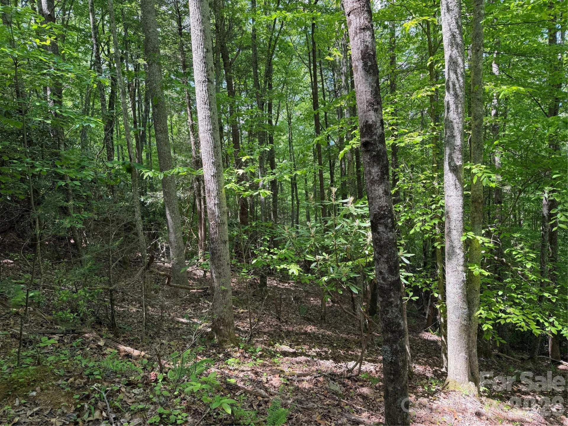 408 Arvil Gosnell Road - Photo 11