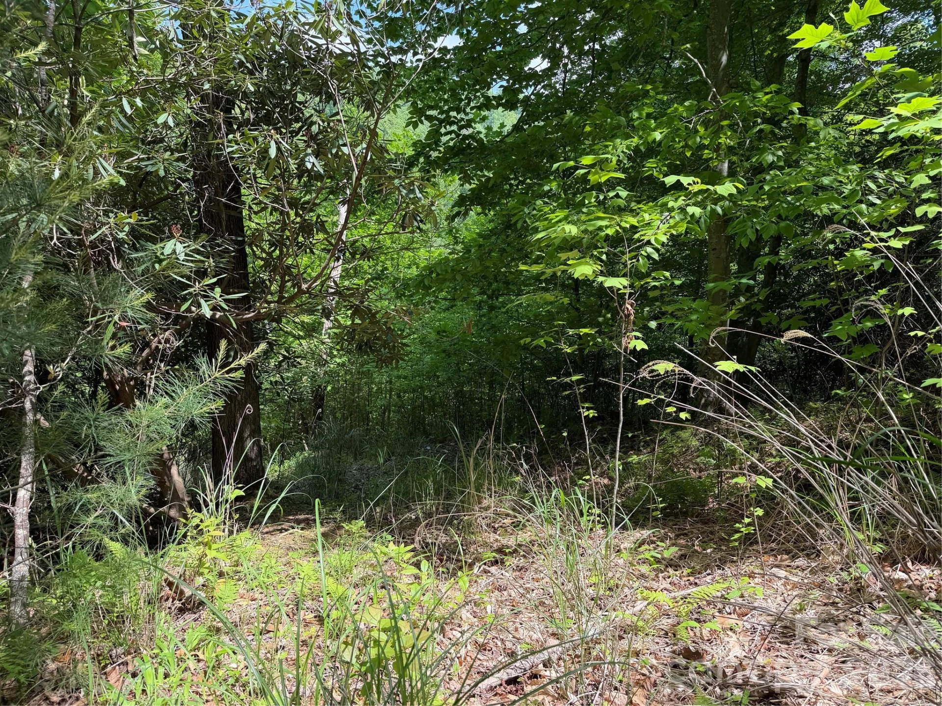408 Arvil Gosnell Road - Photo 12