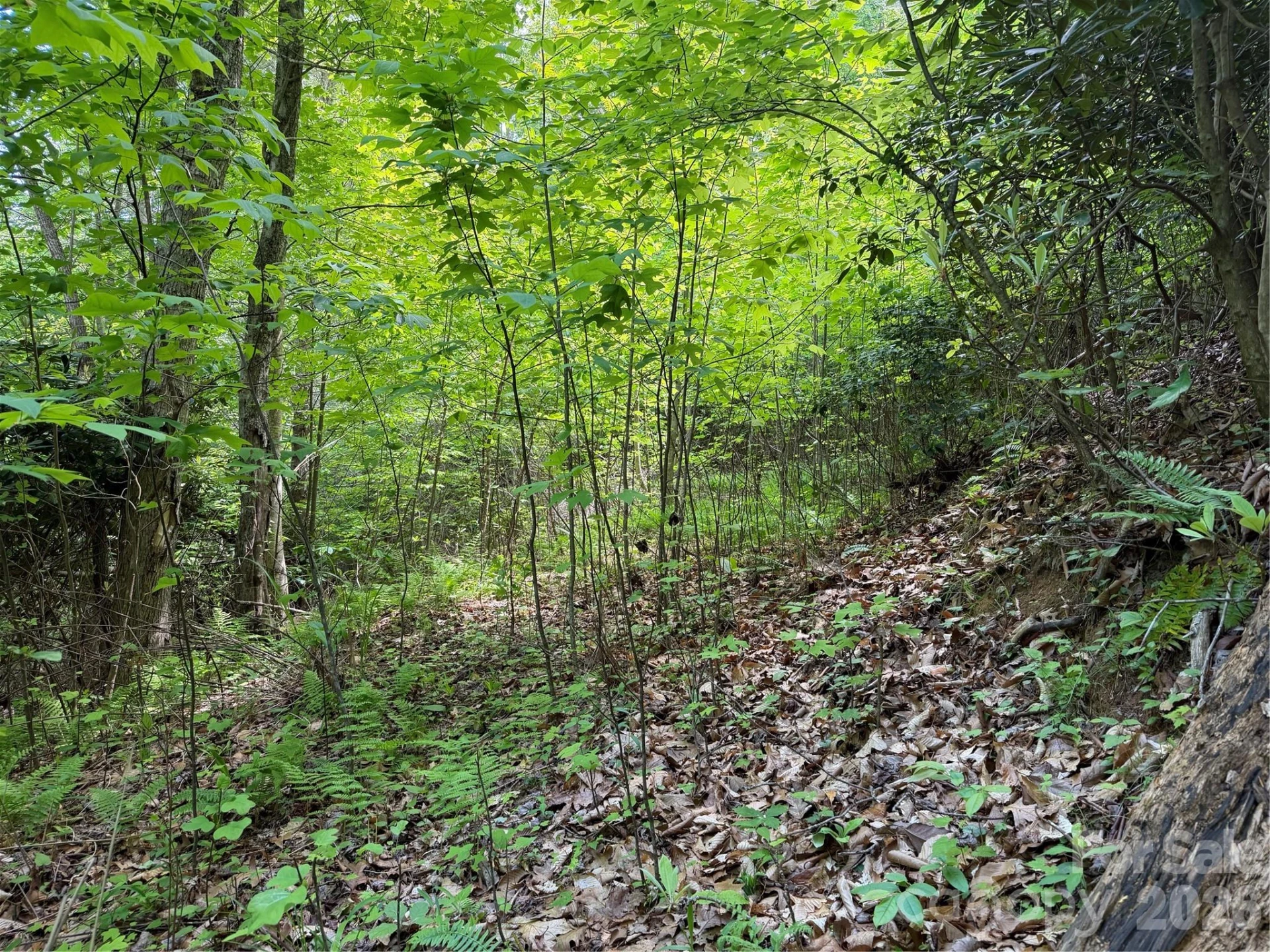 408 Arvil Gosnell Road - Photo 13