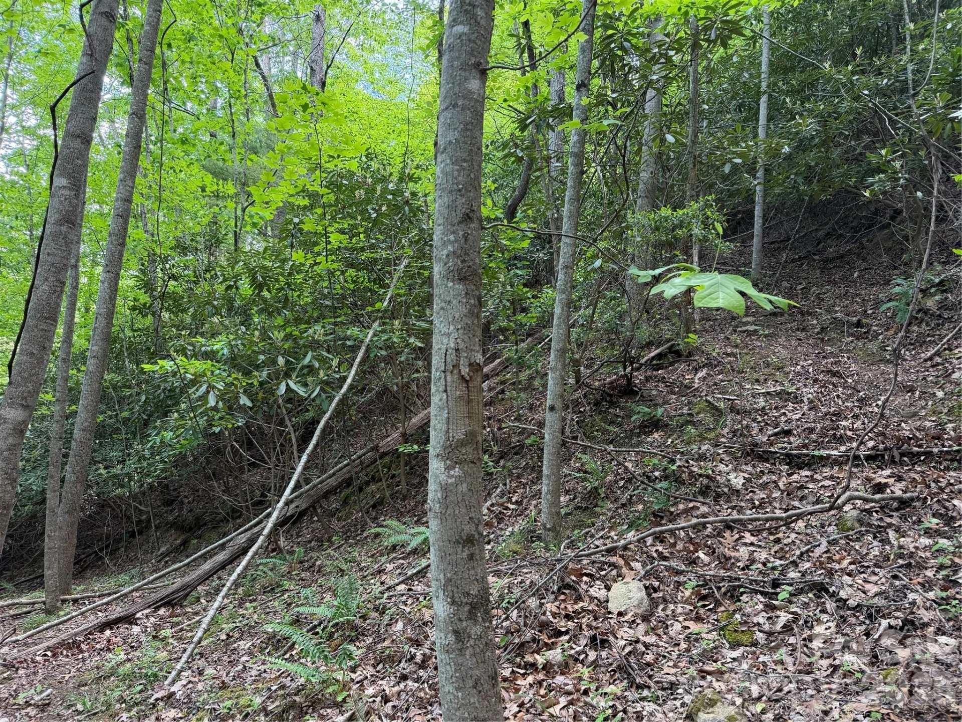 408 Arvil Gosnell Road - Photo 14