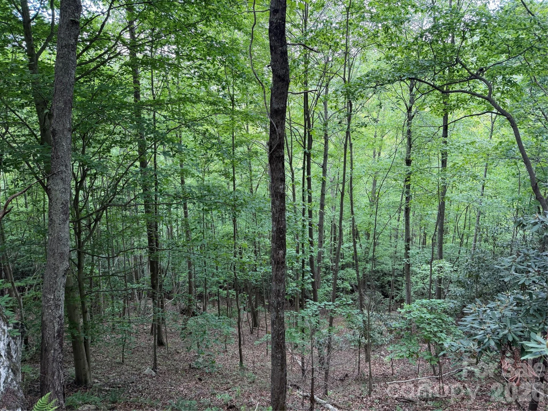 408 Arvil Gosnell Road - Photo 15