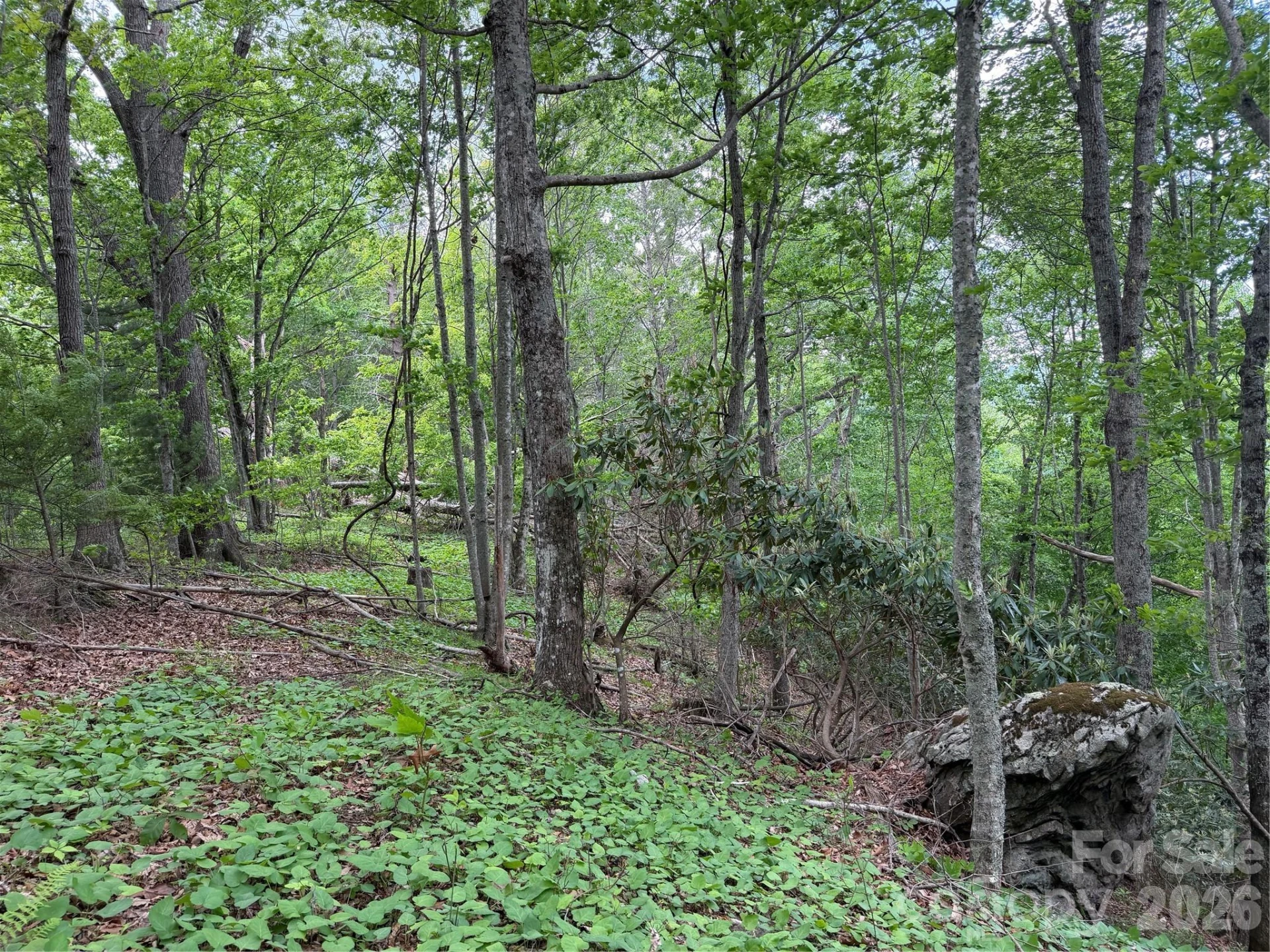 408 Arvil Gosnell Road - Photo 16