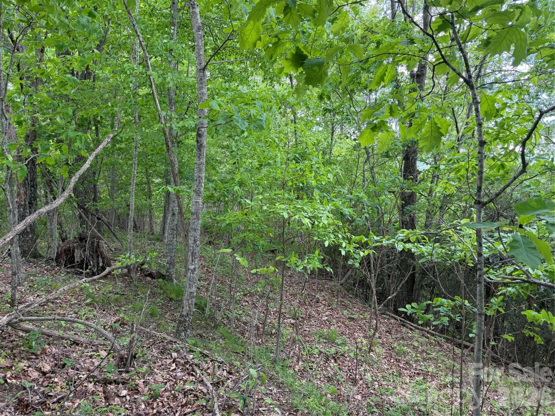 408 Arvil Gosnell Road - Photo 17