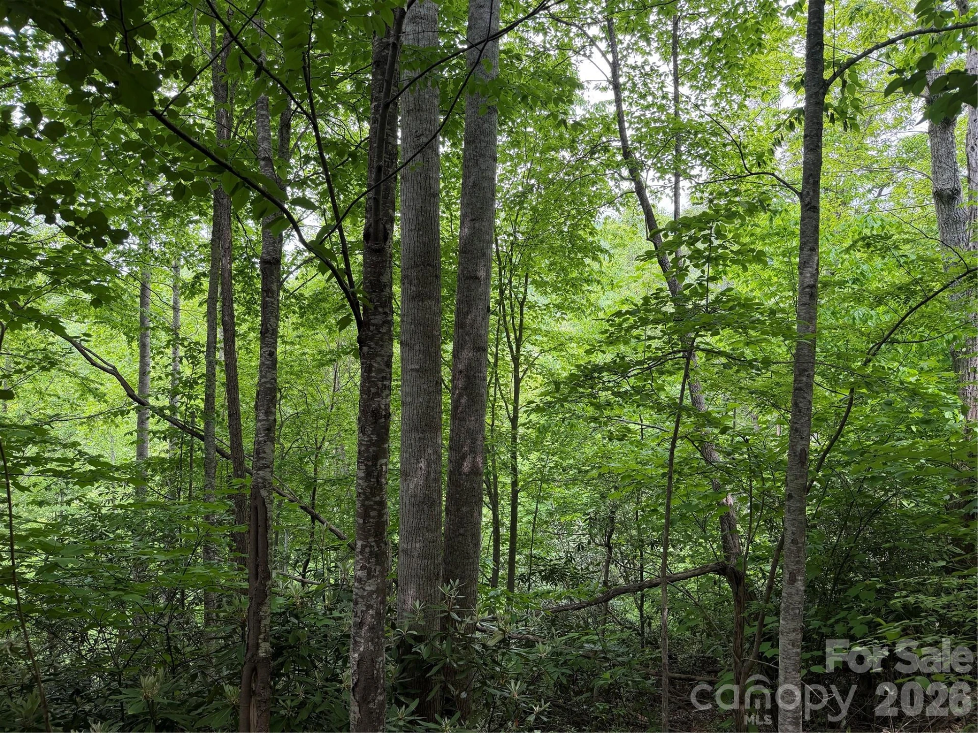 408 Arvil Gosnell Road - Photo 18