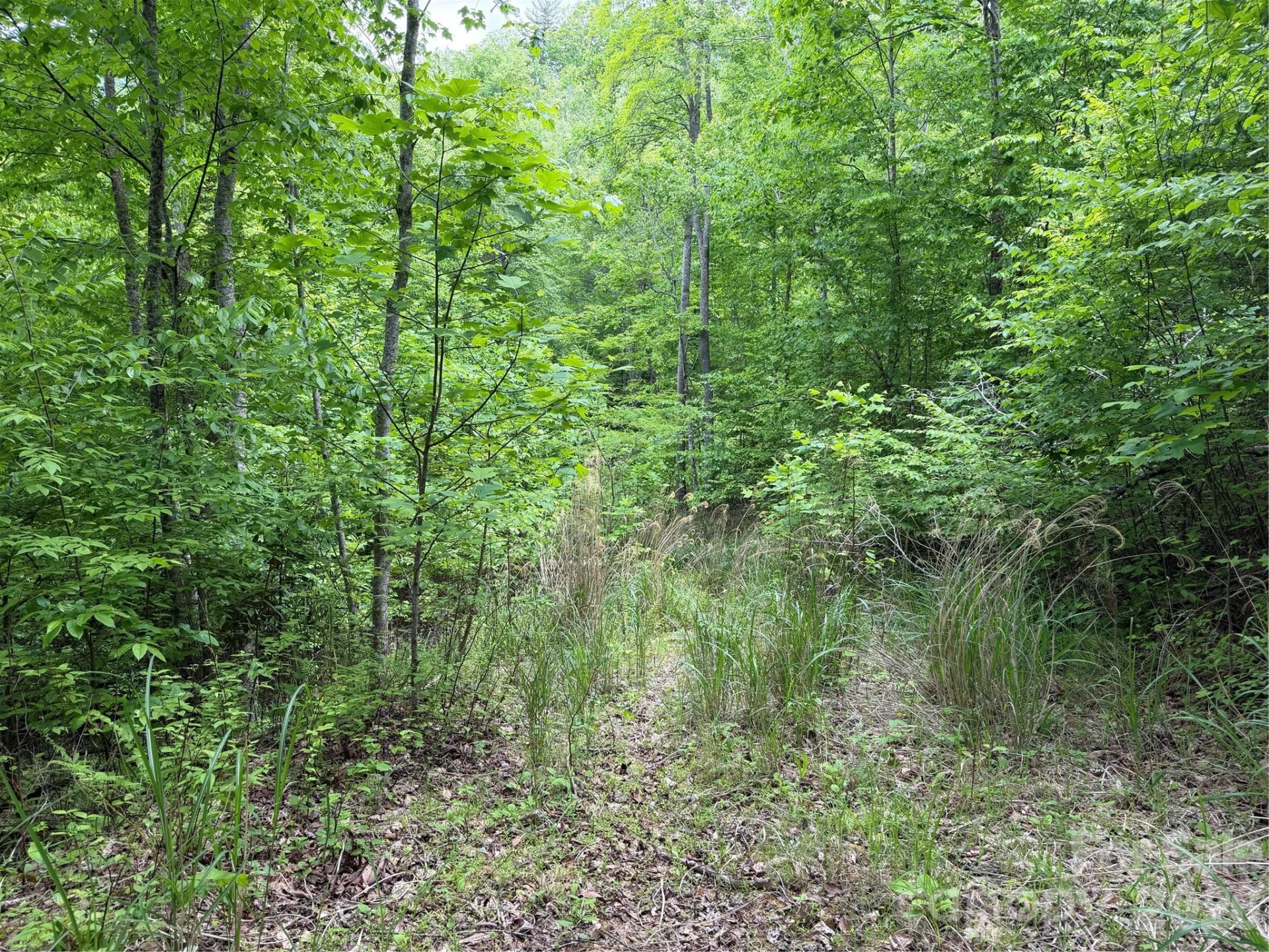 408 Arvil Gosnell Road - Photo 19