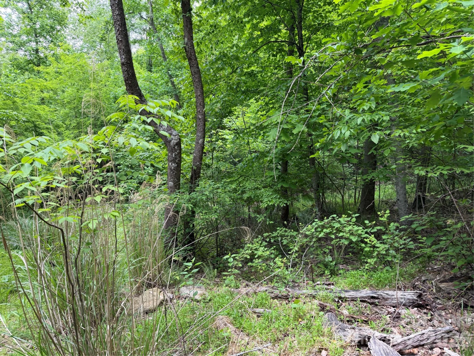 408 Arvil Gosnell Road - Photo 20