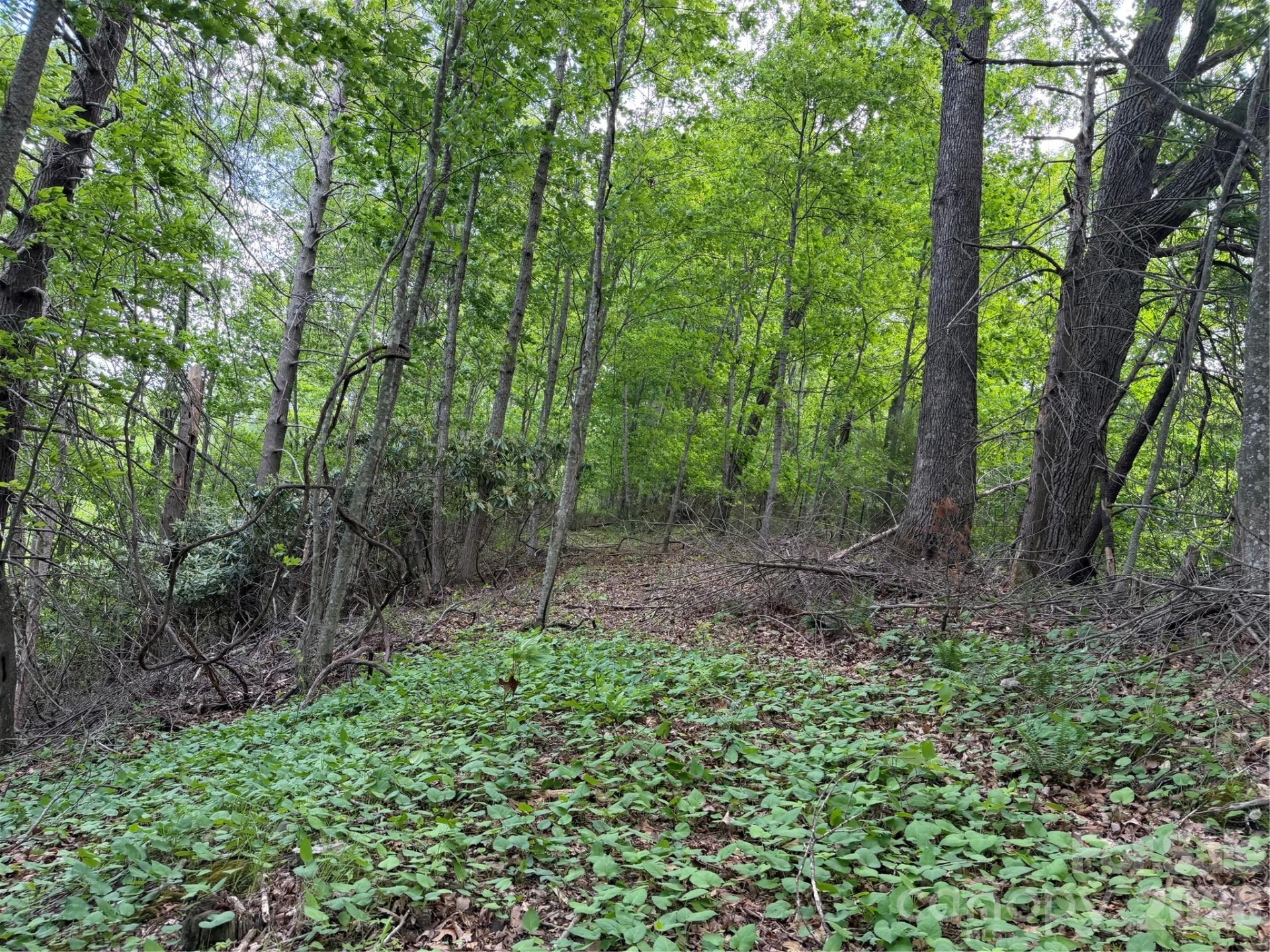 408 Arvil Gosnell Road - Photo 3