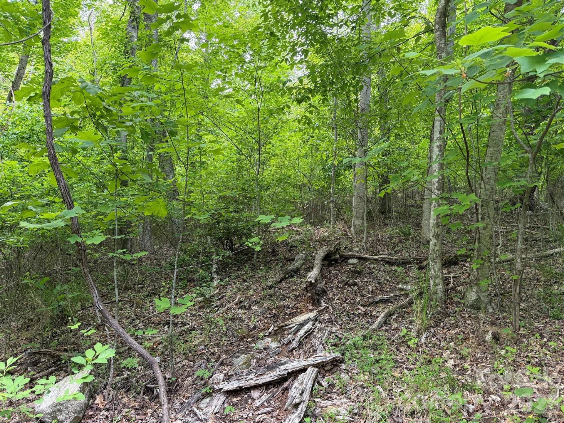 408 Arvil Gosnell Road - Photo 21