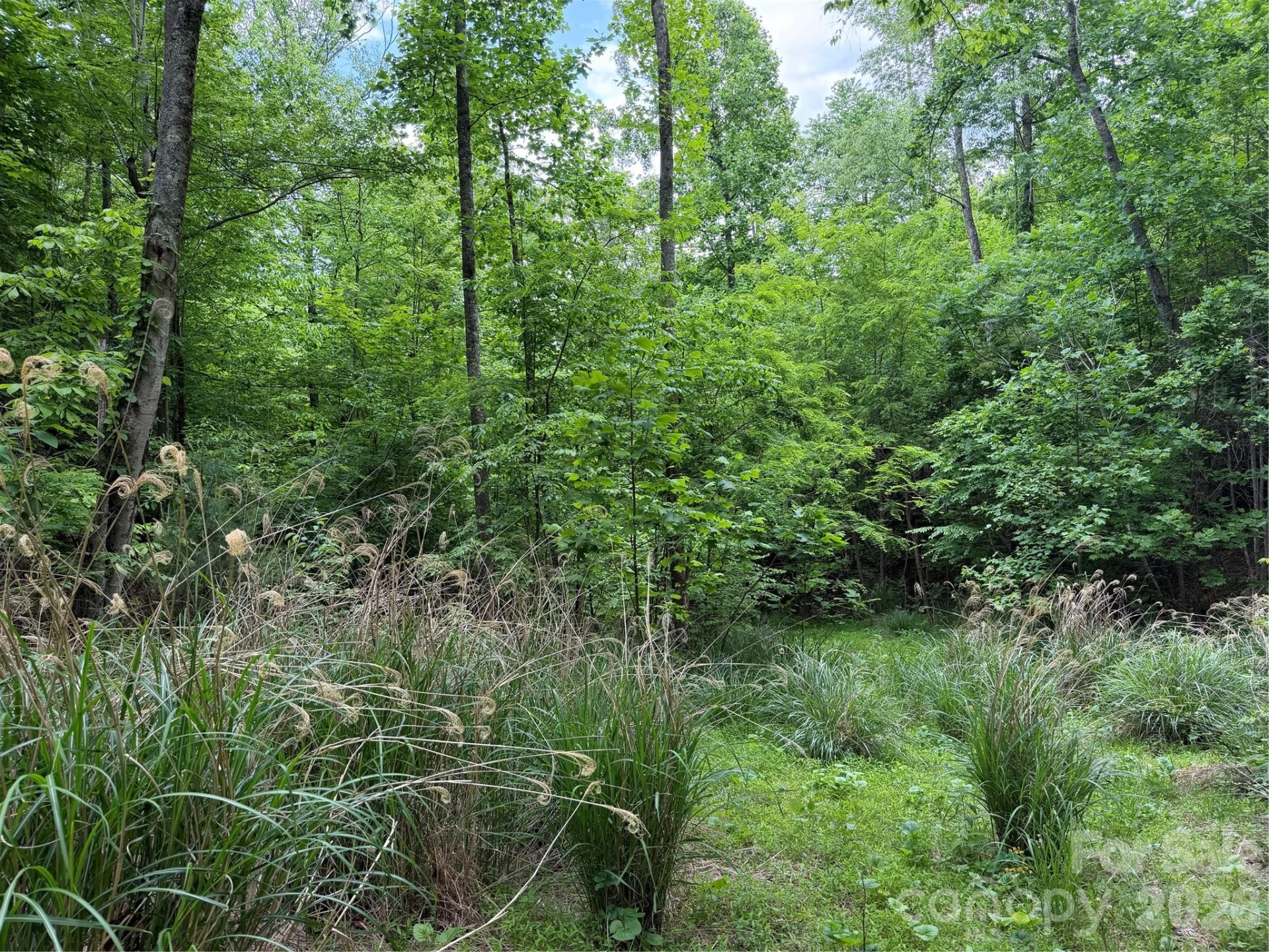408 Arvil Gosnell Road - Photo 22
