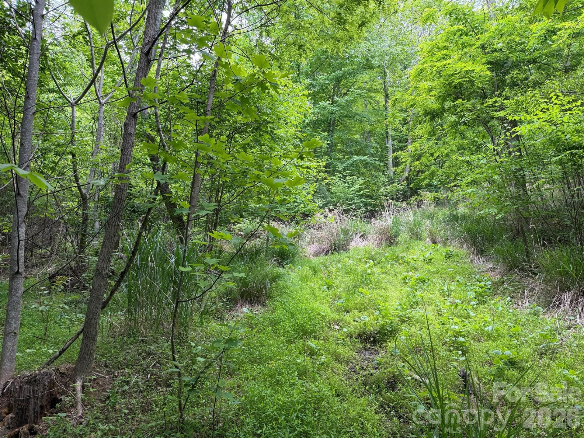 408 Arvil Gosnell Road - Photo 23