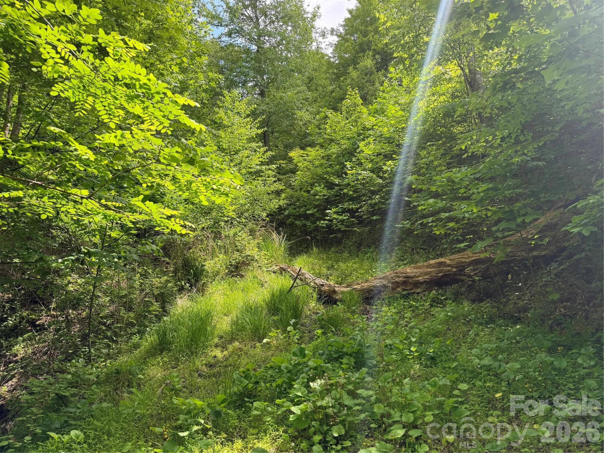 408 Arvil Gosnell Road - Photo 24