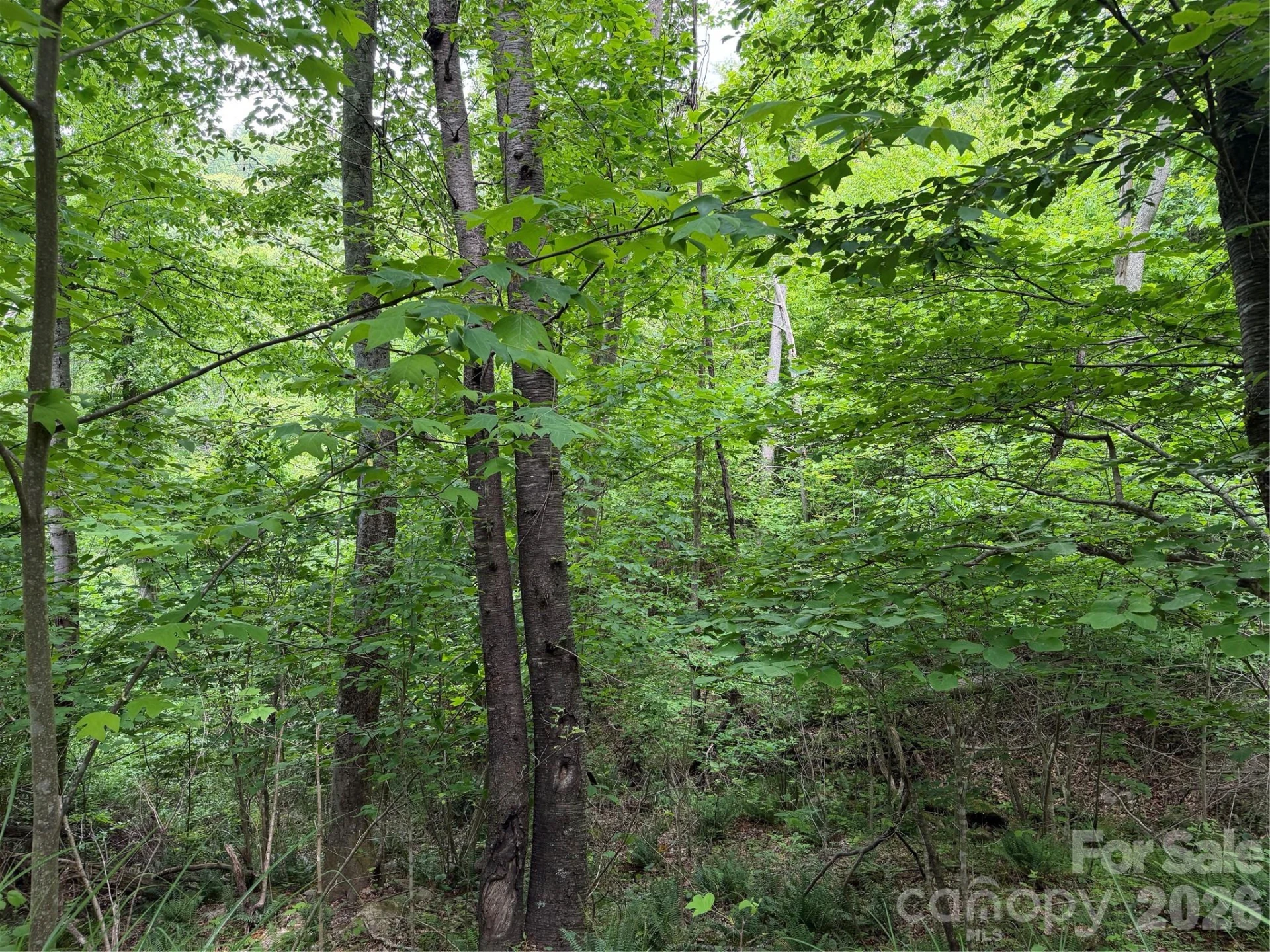 408 Arvil Gosnell Road - Photo 25