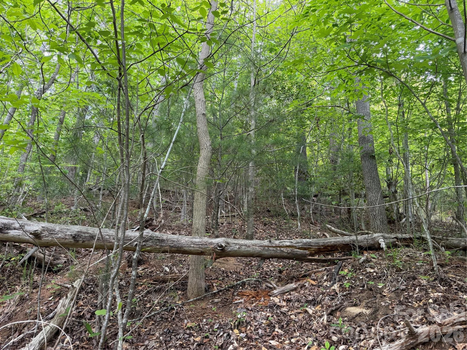 408 Arvil Gosnell Road - Photo 28
