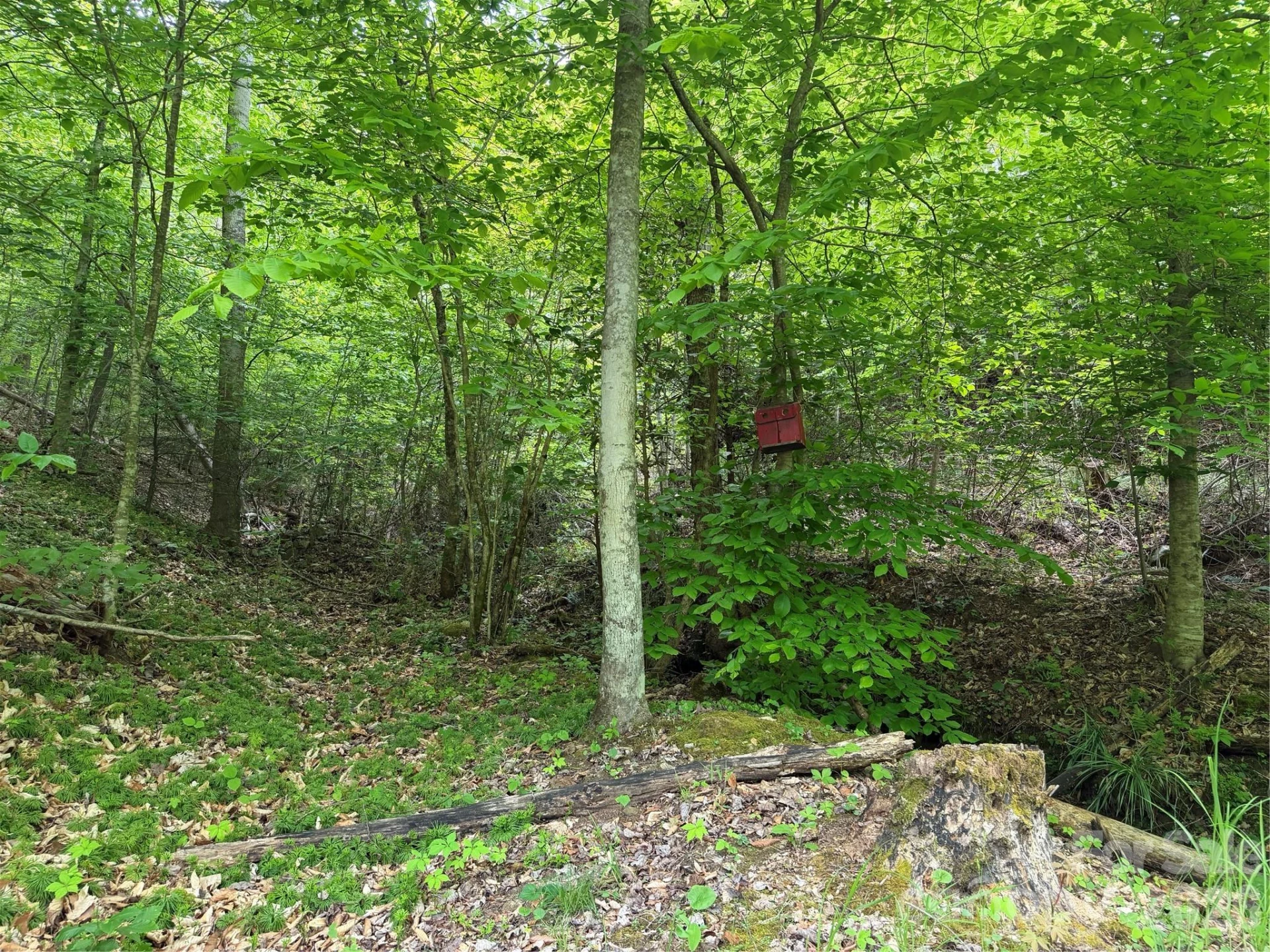 408 Arvil Gosnell Road - Photo 29