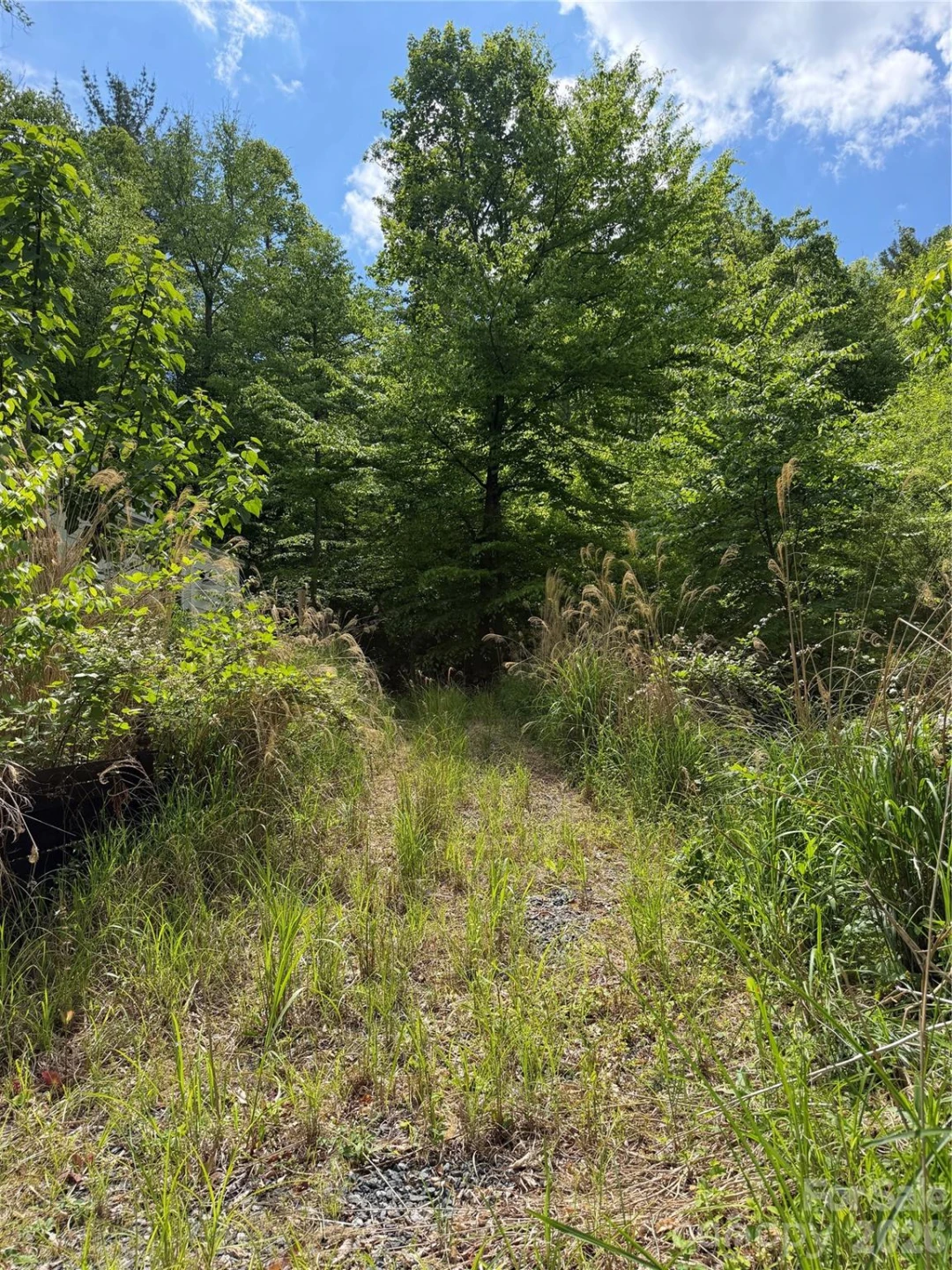408 Arvil Gosnell Road - Photo 30