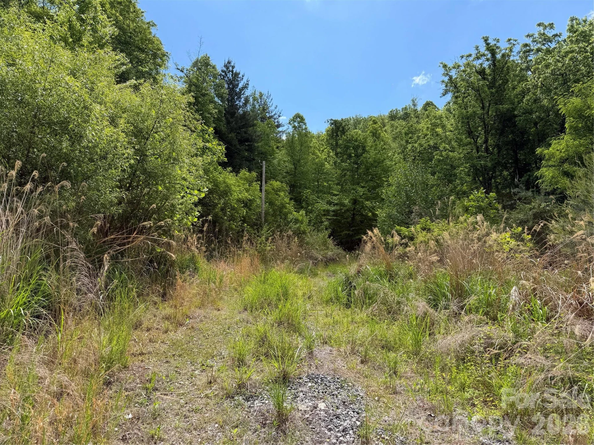 408 Arvil Gosnell Road - Photo 31