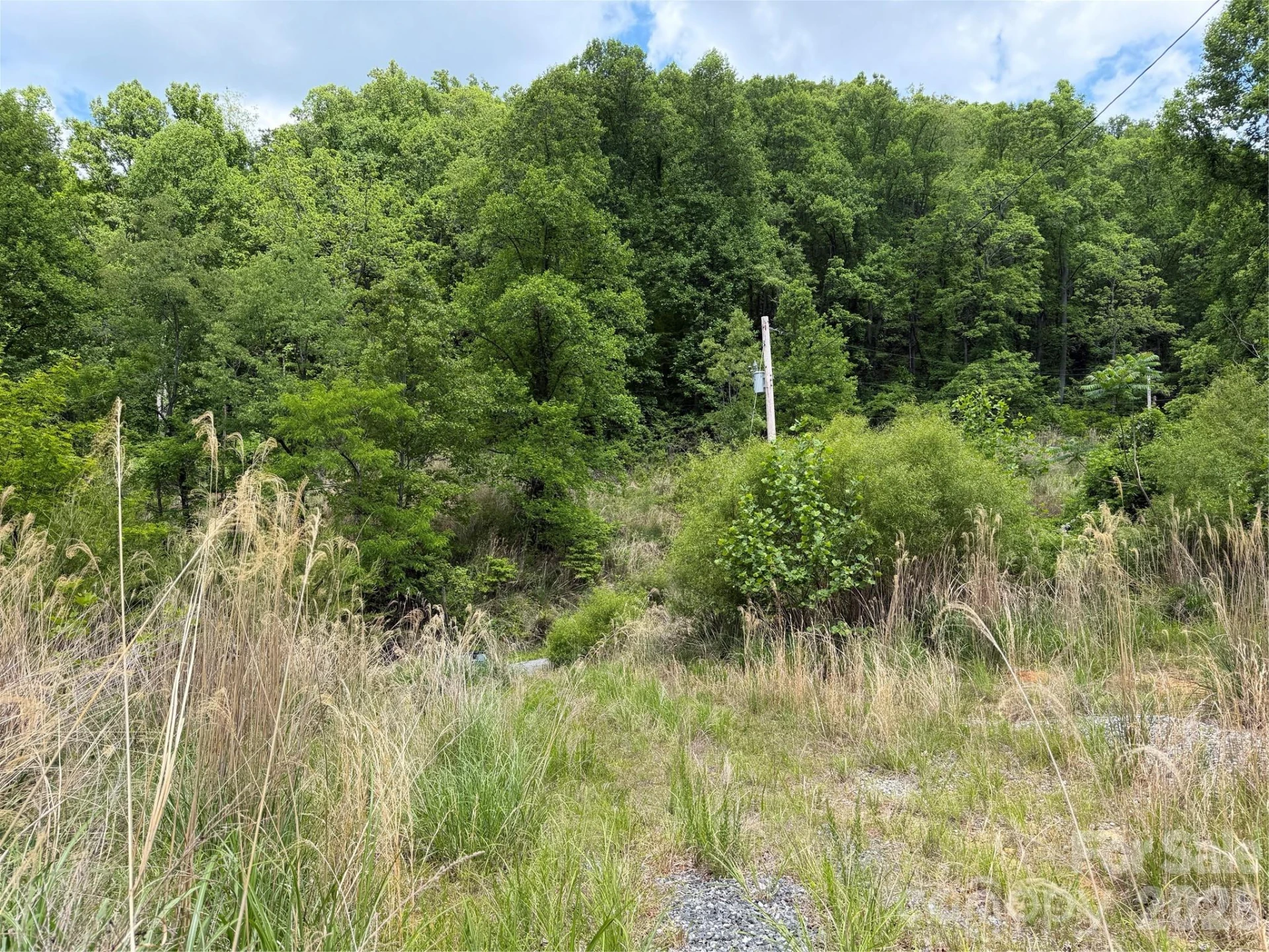 408 Arvil Gosnell Road - Photo 6