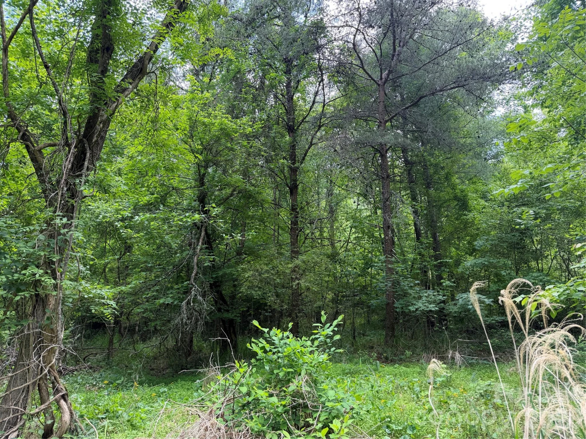 408 Arvil Gosnell Road - Photo 7