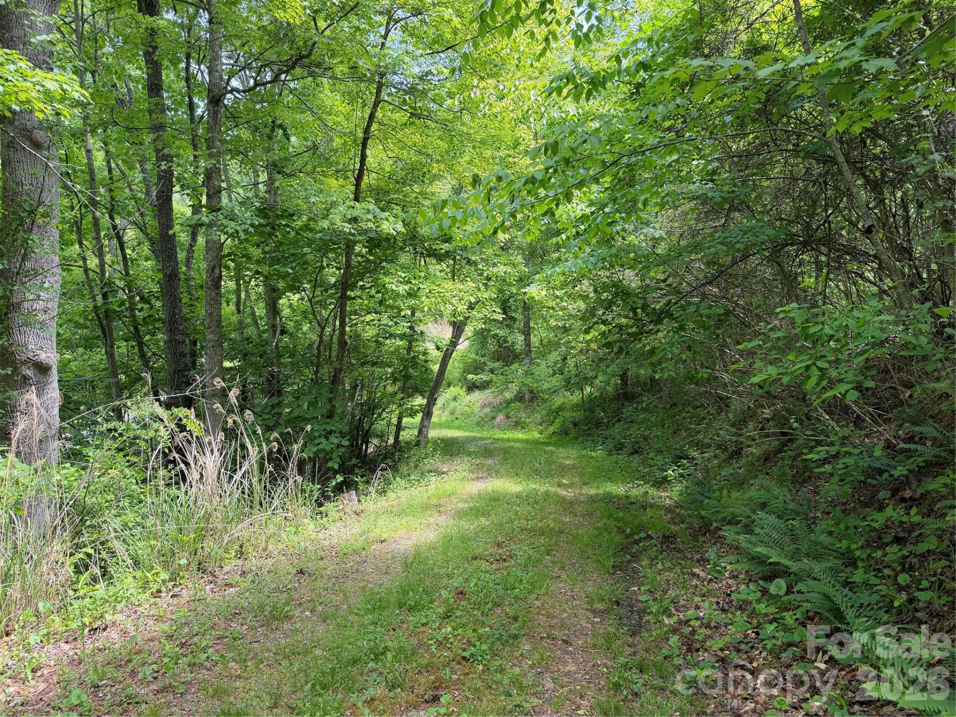 408 Arvil Gosnell Road - Photo 8