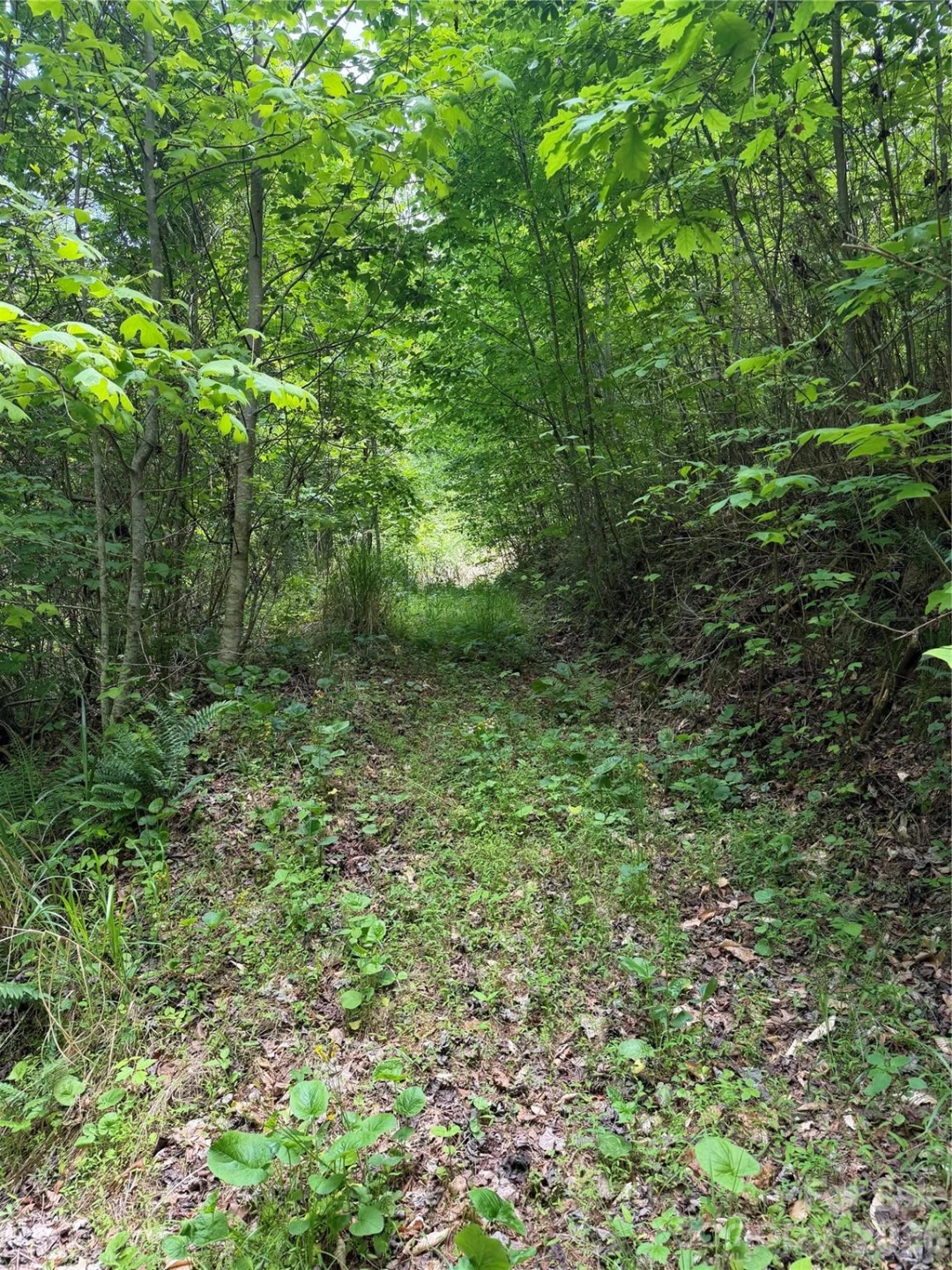 408 Arvil Gosnell Road - Photo 9